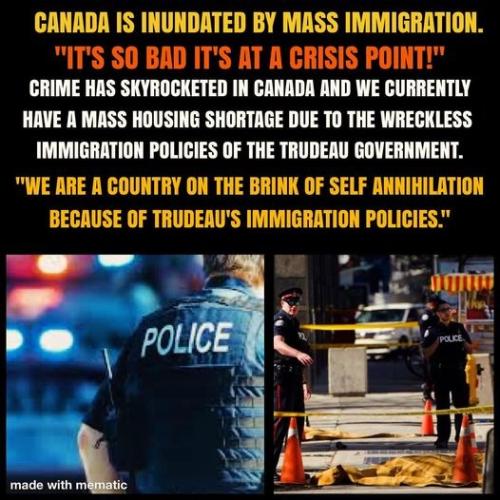 mass immigration