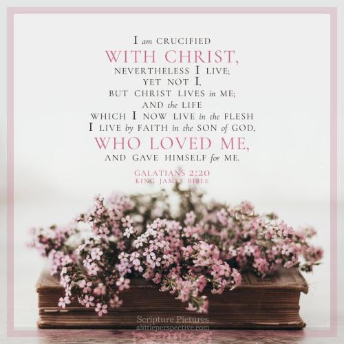 FAITH - Galatians 2.20 KJV