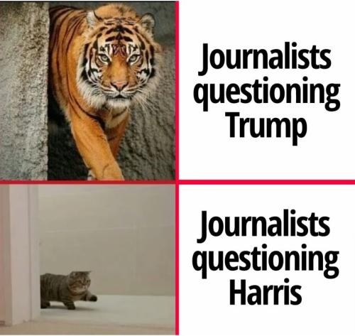 journalists