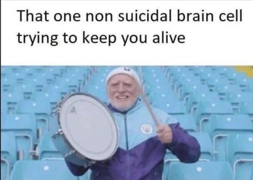 RDT_20240831_1705096389633073856461565