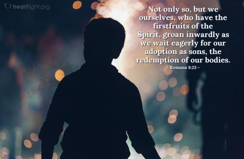 Romans 8_23