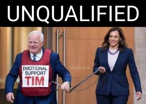 unqualified