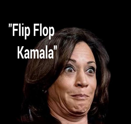 "Flip Flop Kamala"