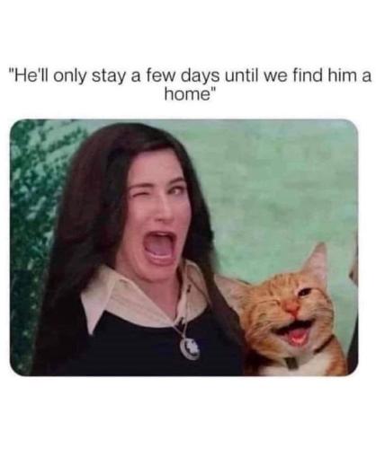 hell-only-stay-few-days-until-find-him-home-16