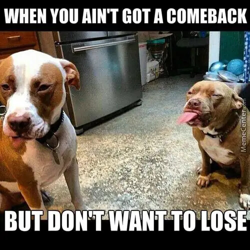 when-you-aint-pitbull-memes
