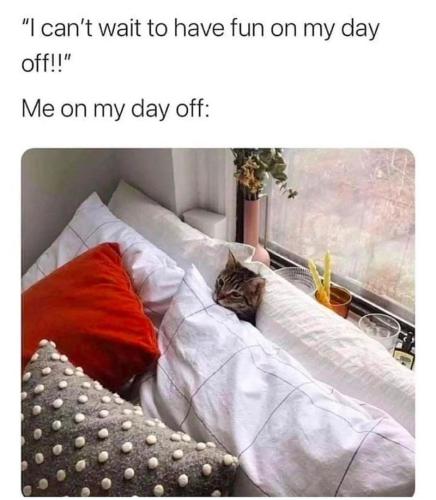 cant-wait-have-fun-on-my-day-off-on-my-day-off