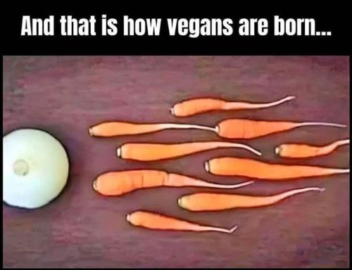 vegan