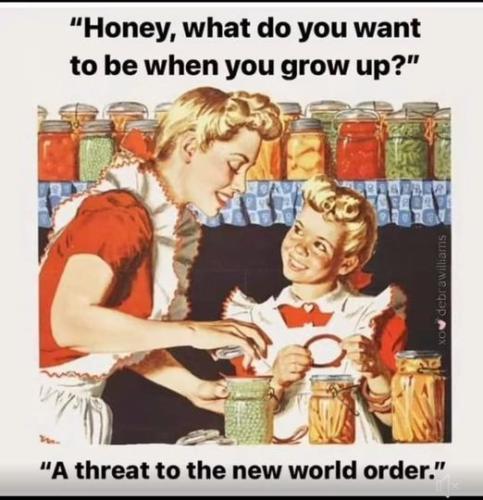 457195072_930483795779379_5629519290485034233_n