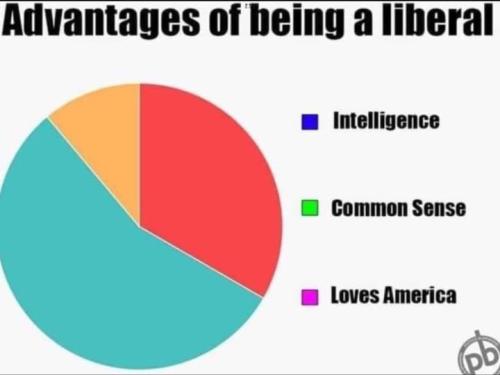 advantages of being a liberal
