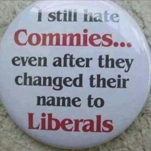 FB_IMG_1724273509366