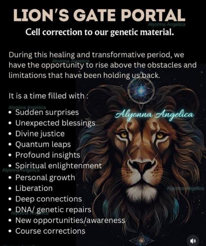 IMG_20240808_014740_851