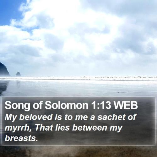 Song of Solomon 1_13