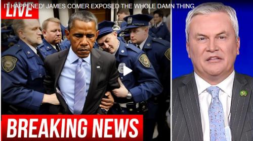 Comer Exposes Biden screenshot