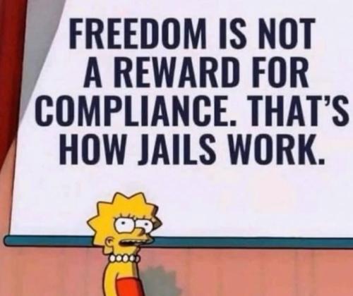 image_3A7D409F-D230-4808-A655-0C4745CCEB3E