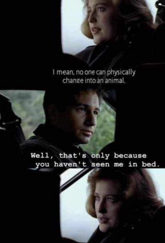 image_AE252E52-E2B9-403B-8102-AA77B6569292