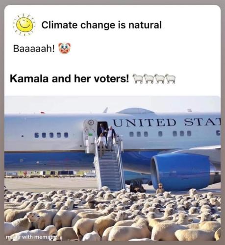 e738e436-3c3e-4ba9-bf73-0b77fcb52e2d