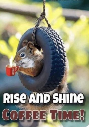 455694244_8134575013269163_3840949305082378333_n