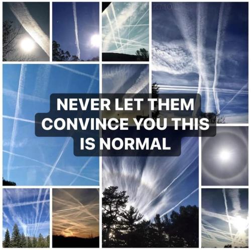 Screenshot_20240817_195530_Facebook