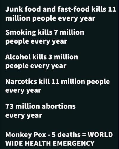 IMG_20240815_191245_222