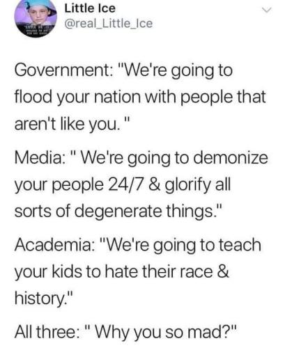 FB_IMG_1724078579241