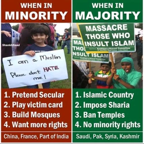 IMG_20240808_170513_200