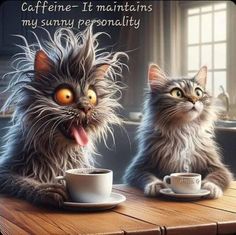 456275009_122114295266396852_7827455968333944087_n