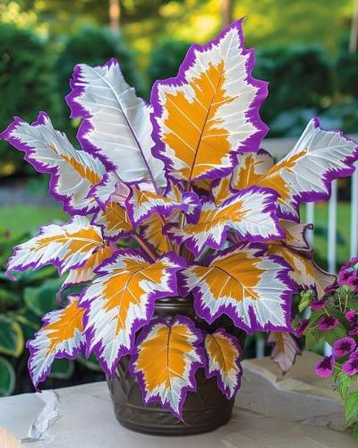 20240802_233627