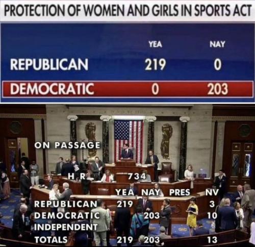 protection of women and children vote