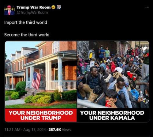 photo_2024-08-13_12-37-39