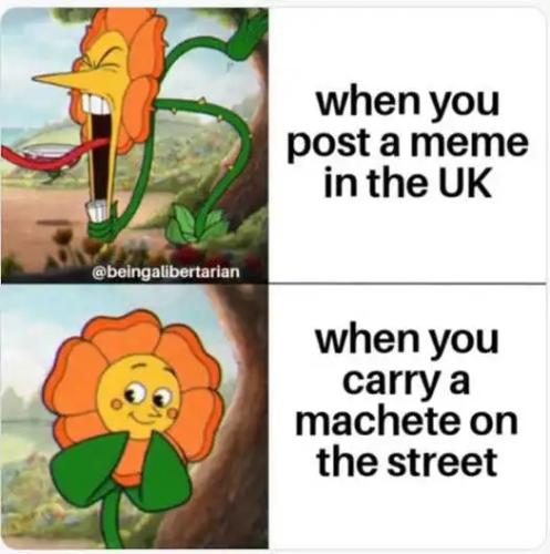 image_4BD4FDE1-FA4C-4C22-B88D-770A82704BF0