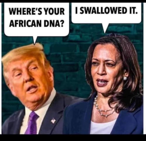 dcfbb65a-80ea-4bc3-962d-735500627af0