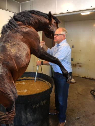 Walz I'll just leave this here.675px