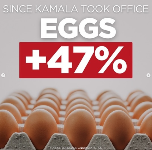 Screenshot 2024-08-19 103537