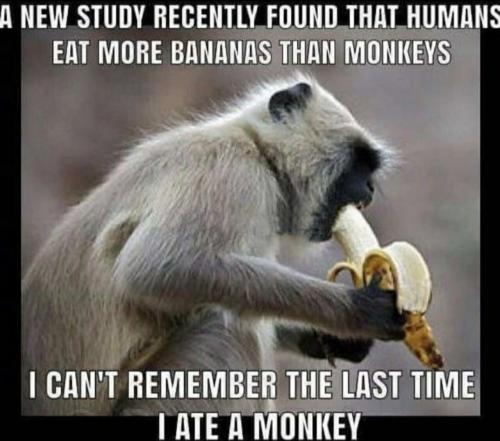 image_DD761C45-5E00-4CAC-BE35-F50B8B598ABE