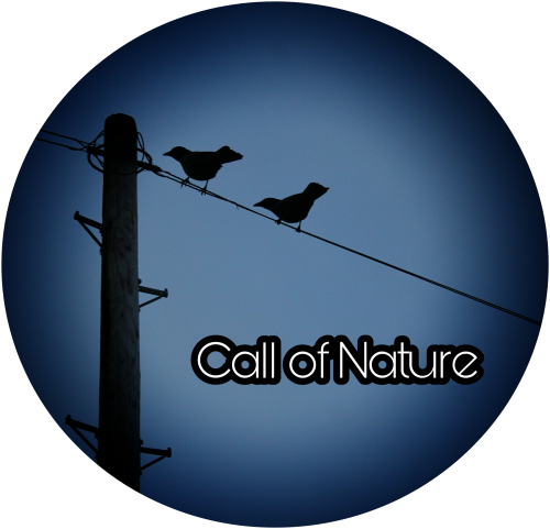 PicsArt_05-27-11.17.43