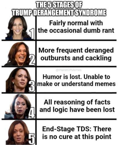 image_3B93AE8B-3F31-40D2-9C20-E31A923D6E6D