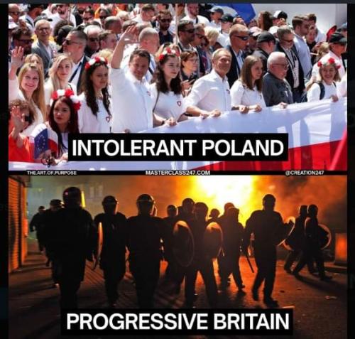 FB_IMG_1723464220214