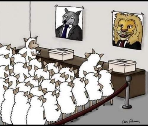 2cf05a66-8405-46ef-ac52-3fe6d26688e4