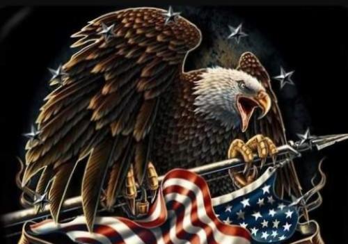 Screenshot_20240815_010937_Wimkin Free Speech Social Media