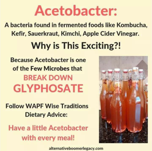 Screenshot_2024-08-20-11-19-15_kindlephoto-239200797