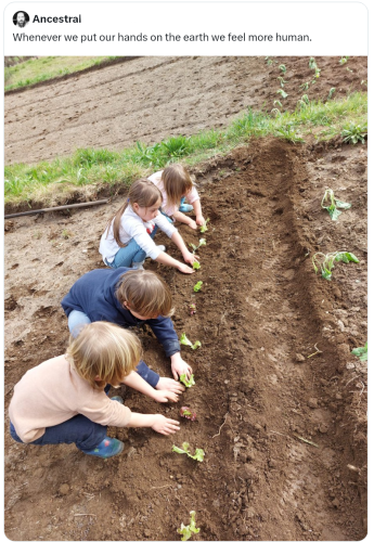 Screenshot_2024-08-03-13-23-03_kindlephoto-100260650