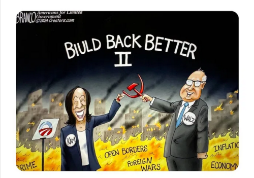 xephula_2da8ed5e6f963c4bb8152d7599ebc473