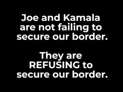 xephula_ca00b03c0711b5942ae61defb0ad3c0e