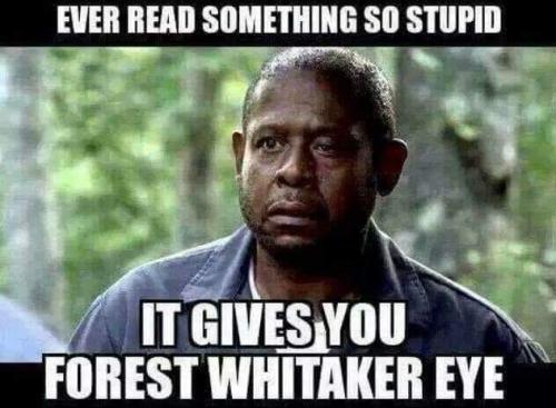 FB_IMG_1695586778789