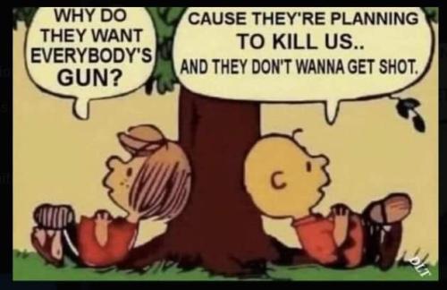 FB_IMG_1723025742382