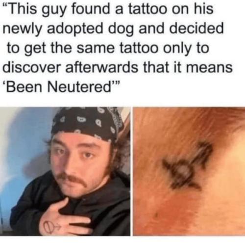 funny-dog-memes-8-12-24-29