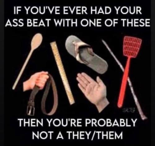 IMG_20240825_124145_435