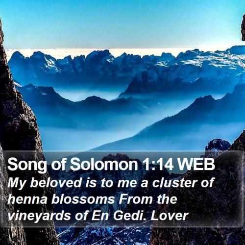 Song of Solomon 1_14