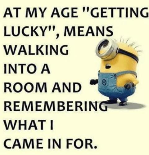 456911115_8585962501428228_5800660954462491958_n