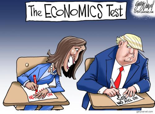 Political economics test